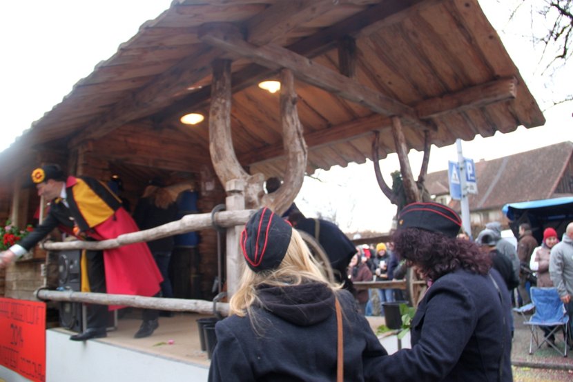 Sarmenstorf Fasnachtsumzug 16.02.2014 (114)